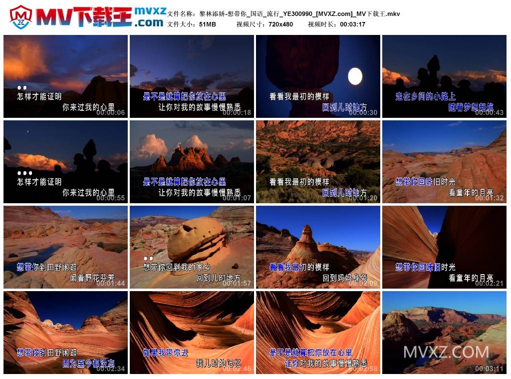 黎林添娇-想带你_国语_流行_YE300990